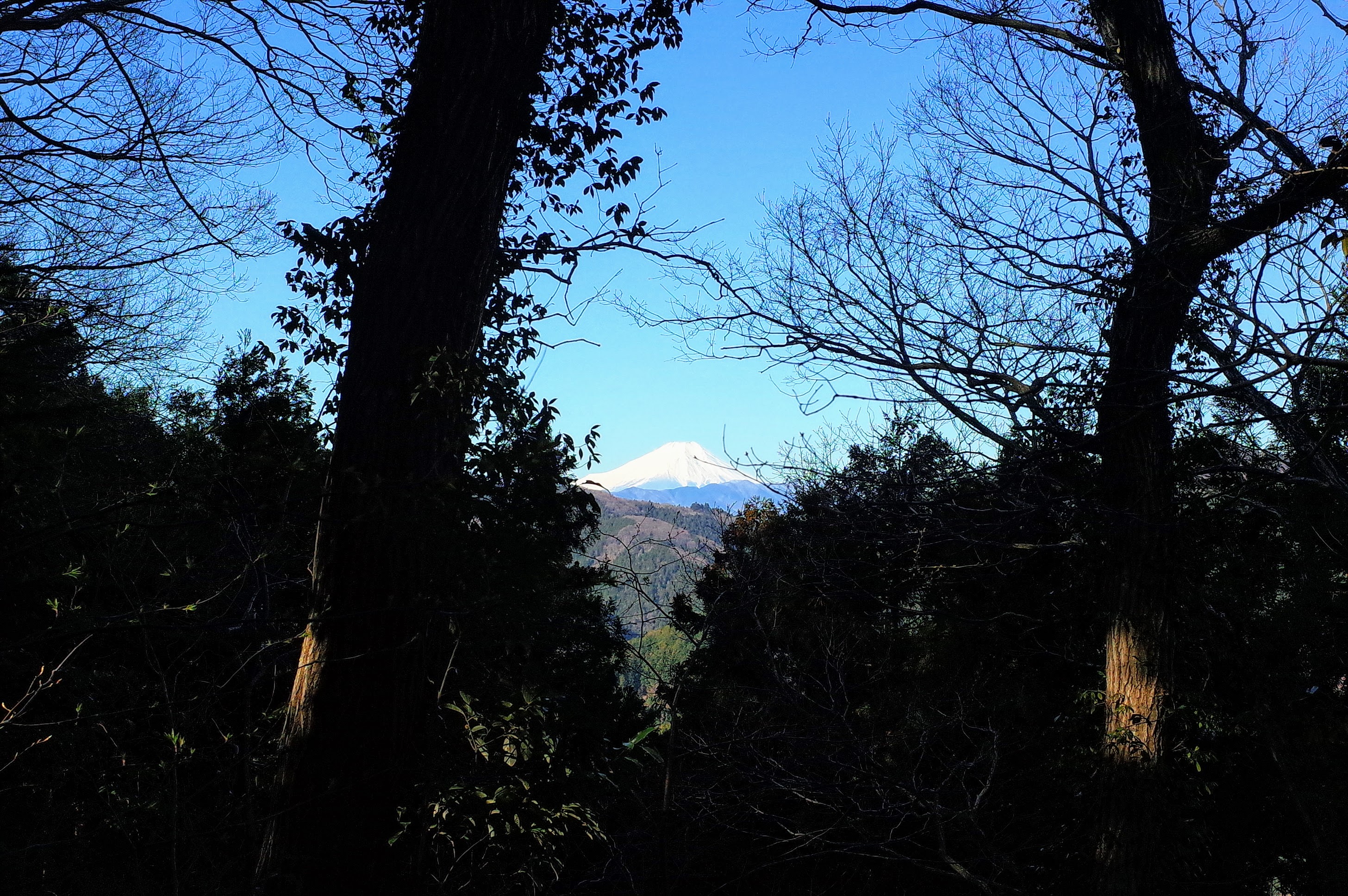北高尾　富士山